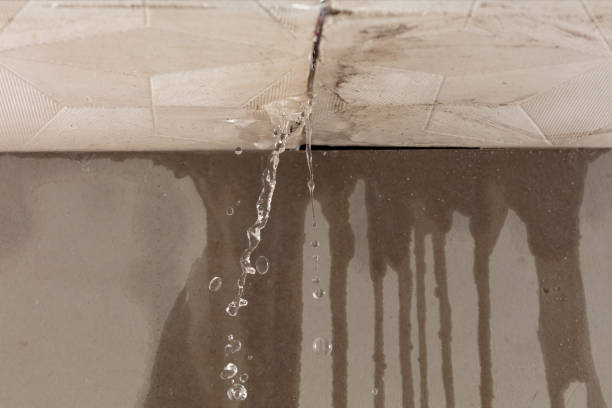 Professional Water Extraction technician working in Easton, MD